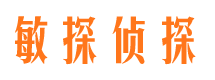 合江市侦探公司